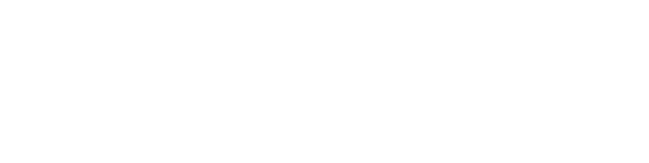 logo_ladestrom_weiss_def.png