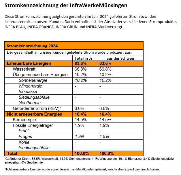 stromkennzeichnung_2024.png